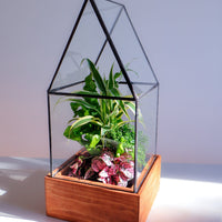 Cape Cod Terrarium | Local Pickup Only