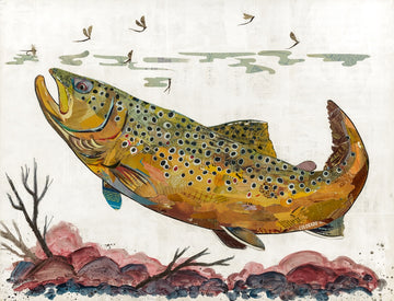 Brown Trout II | Archival Print
