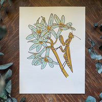 Praying Mantis 6x8 | Giclee Print