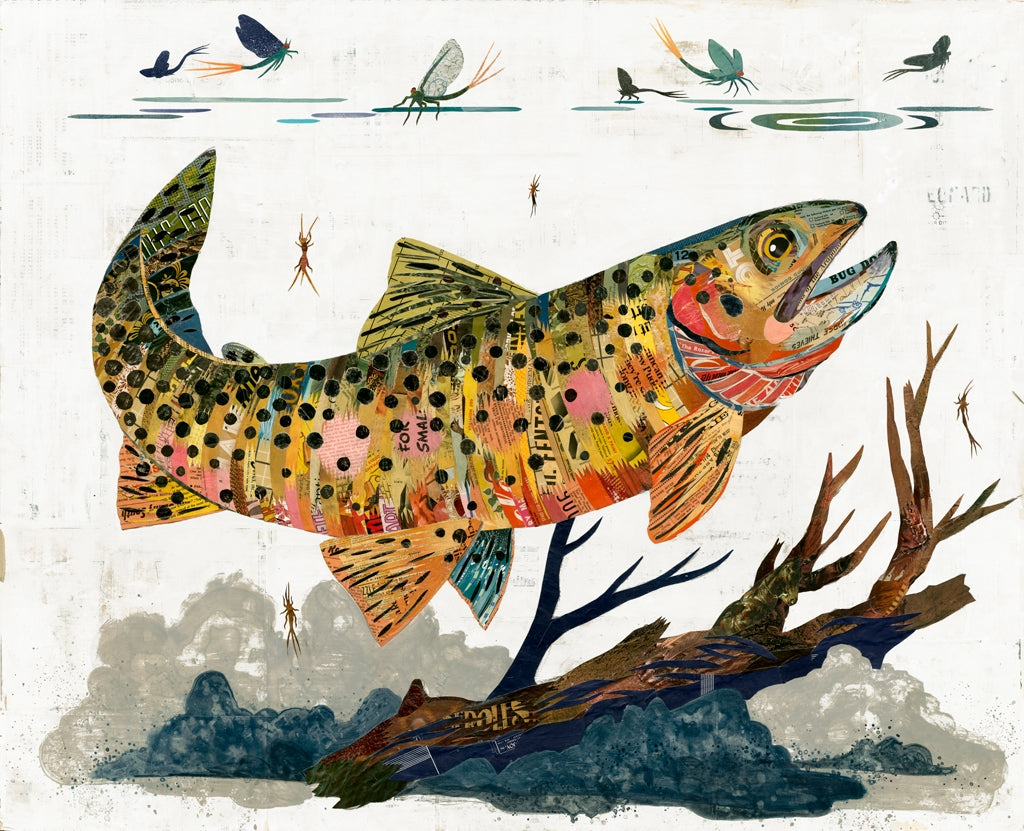 Dolan Geiman | Greenback Cutthroat Trout | Archival Print – The