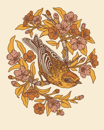 Palm Warbler & Plum Blossom 8x10 | Giclee Print