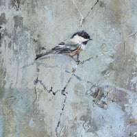 Black-Capped Chickadee IIV | 16x8