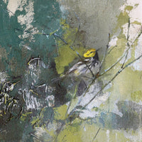 Black-Throated Green Warbler | 16x8