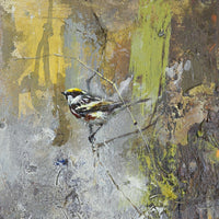 Chestnut-Sided Warbler II | 16x8