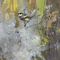 Chestnut-Sided Warbler II | 16x8