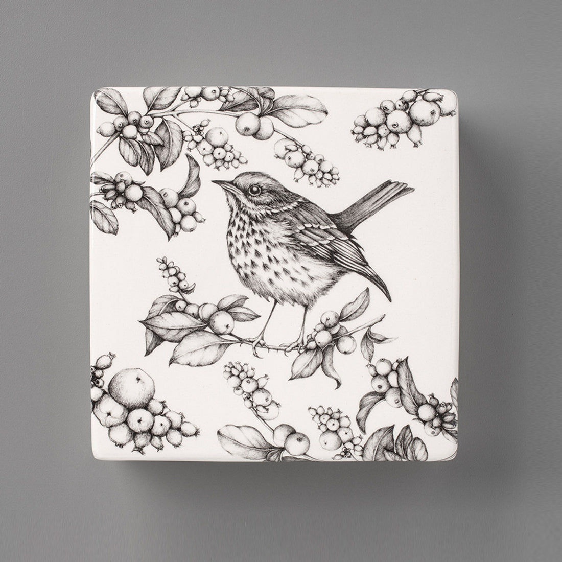 Hermit Thrush | Wall Box