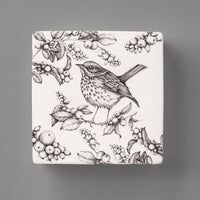 Hermit Thrush | Wall Box