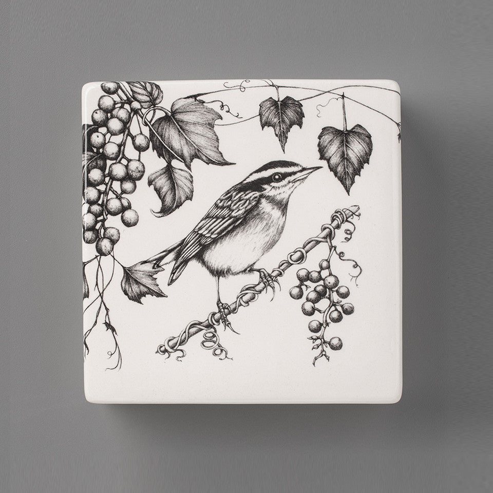 Nuthatch | Wall Box