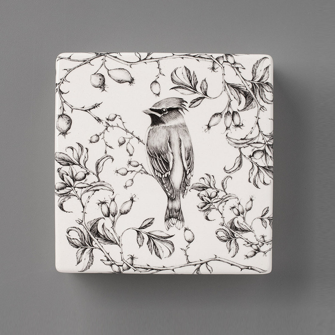 Waxwing | Wall Box