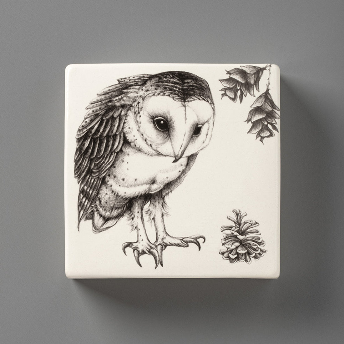 Barn Owl | Wall Box