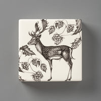 Fallow Buck | Wall Box