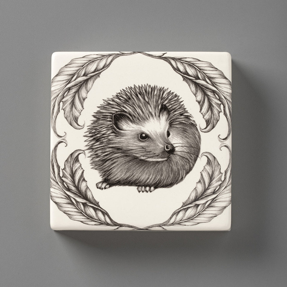 Hedgehog | Wall Box