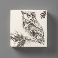 Screech Owl | Wall Box