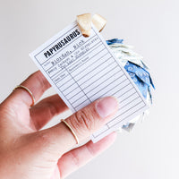Percy Jackson Greek Book Ornament