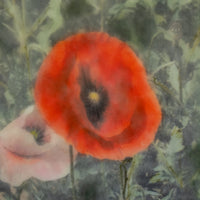 Poppies Red | 6x8 Encaustic