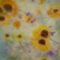 Yellow Wildflowers | 6x8 Encaustic