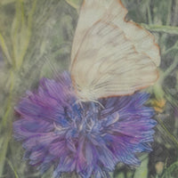 Wildflower Butterfly | 6x8 Encaustic