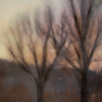 Reflection Trees | 6x8 Encaustic