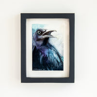 Great-Tailed Grackle | 7x9