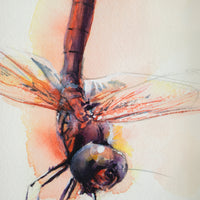 Red Dragonfly #1 | 7x9