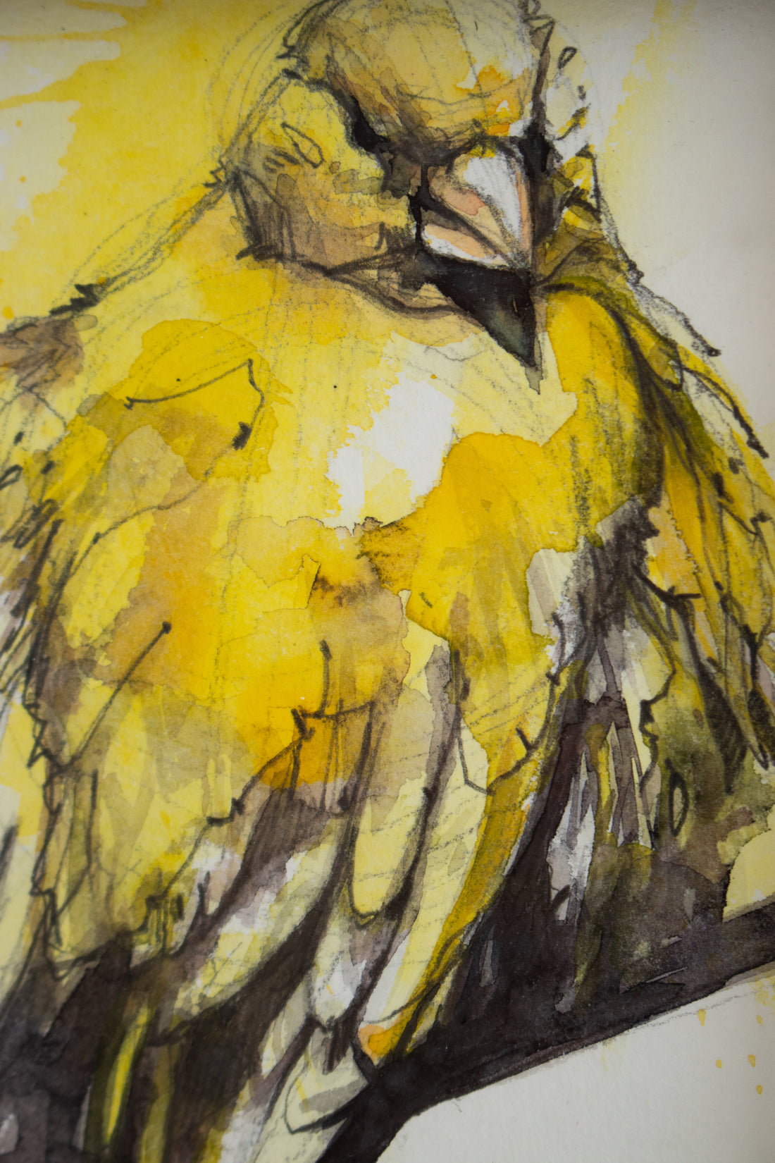 Yellow Bird on Branch Watercolor | 7x9