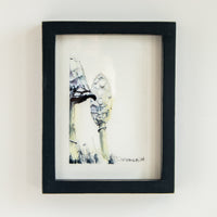 Lawyers Wig (Mushroom) no.1 | 7x9