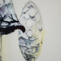 Lawyers Wig (Mushroom) no.1 | 7x9