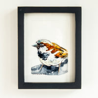House Sparrow | 7x9