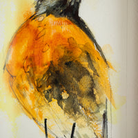 Robin no.4 | 7x9