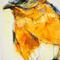 Eastern Bluebird | 7x9