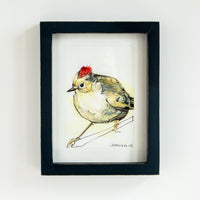Ruby-Crowned Kinglet | 7x9