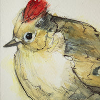 Ruby-Crowned Kinglet | 7x9