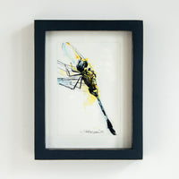 Yellow Dragonfly #1 | 7x9