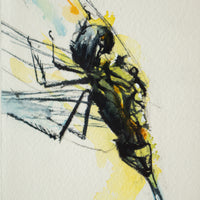 Yellow Dragonfly #1 | 7x9