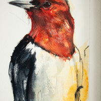 Red Headed Woodpecker | 7x9