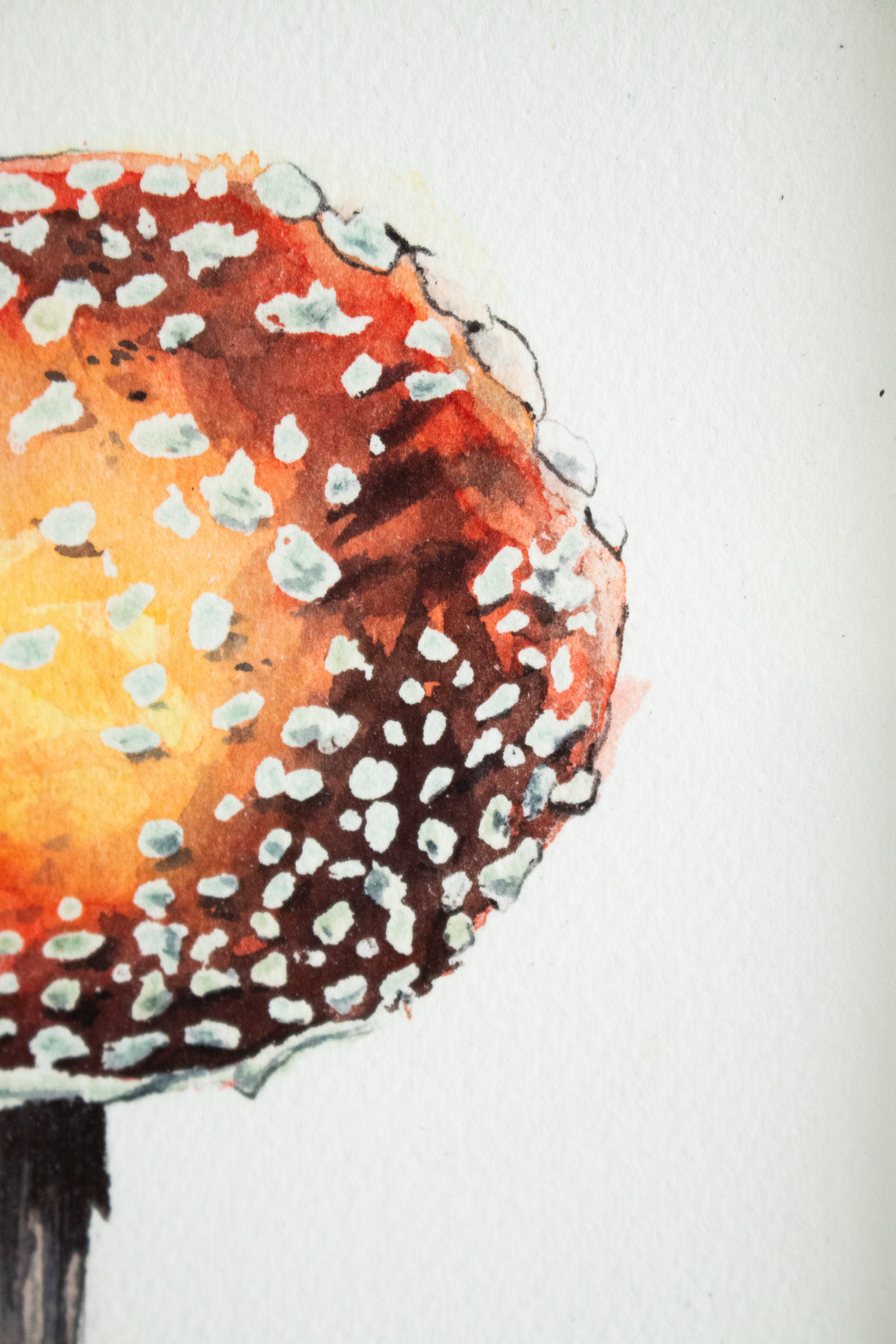 Amanita Muscaria (Mushroom) no.2 | 7x9