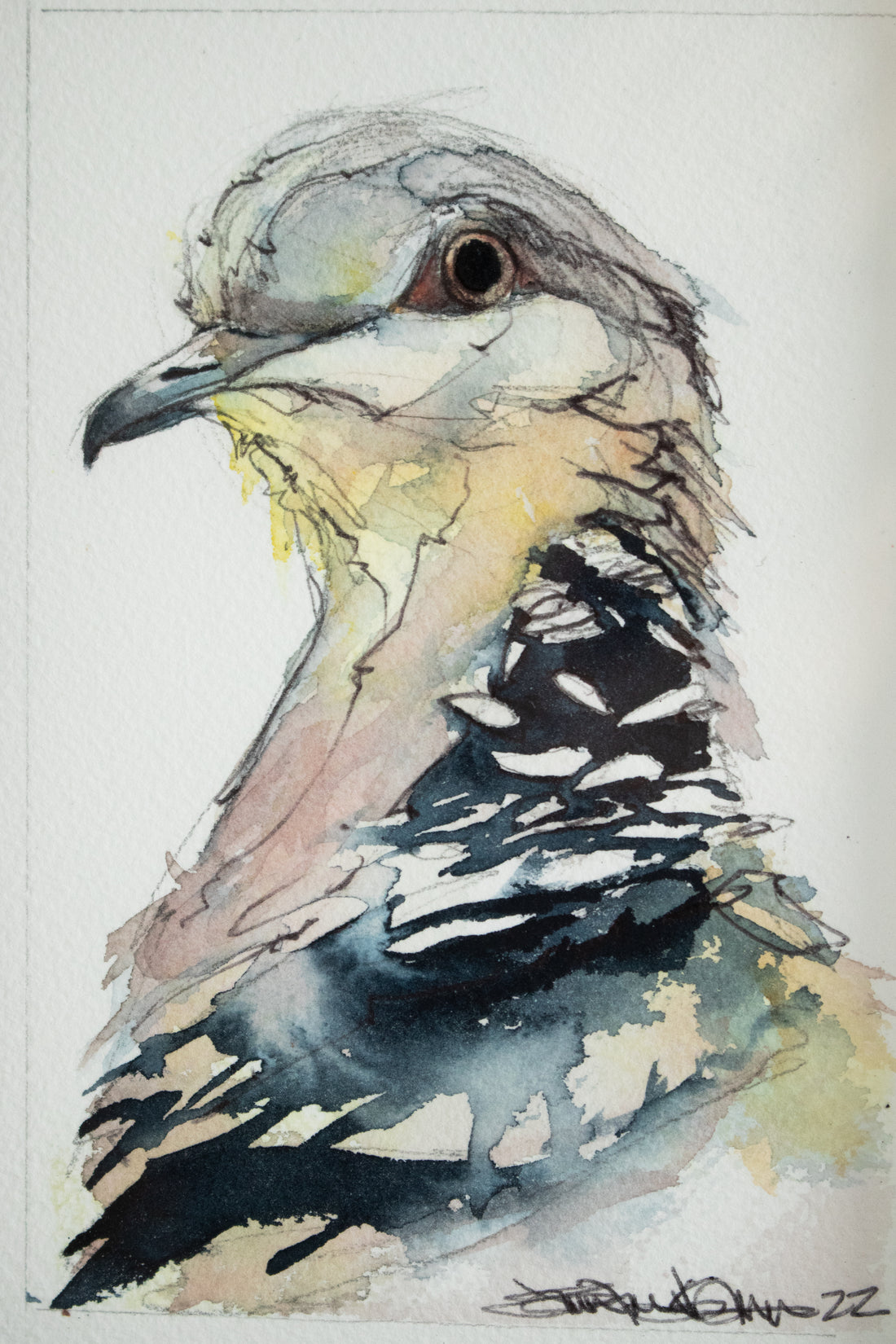 Dove Side Profile Watercolor | 7x9