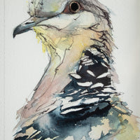 Dove Side Profile Watercolor | 7x9