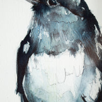 Grey Junco Bird | 7x9
