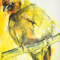 Yellow/Orange Bird on Branch | 7x9