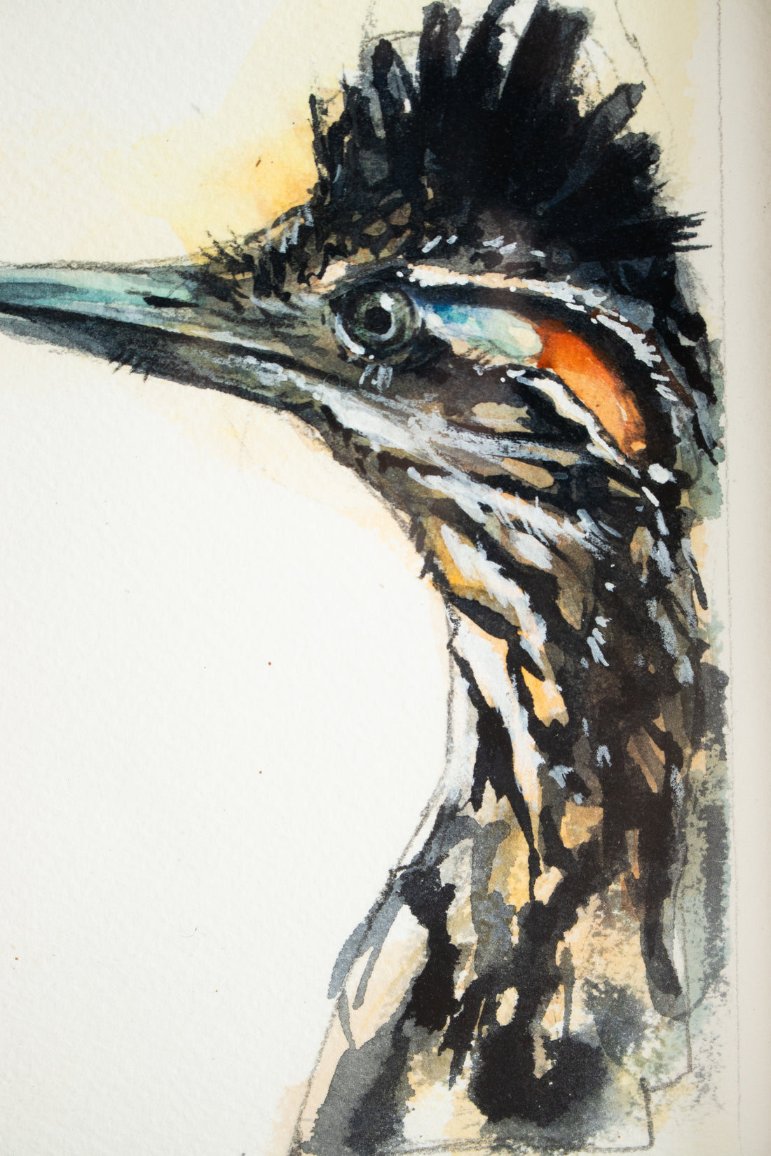 Greater Roadrunner | 7x9