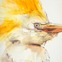 Cattle Egret | 7x9