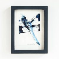 6x8 Blue Dragonfly #1 | 7x9