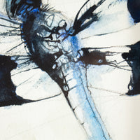 6x8 Blue Dragonfly #1 | 7x9