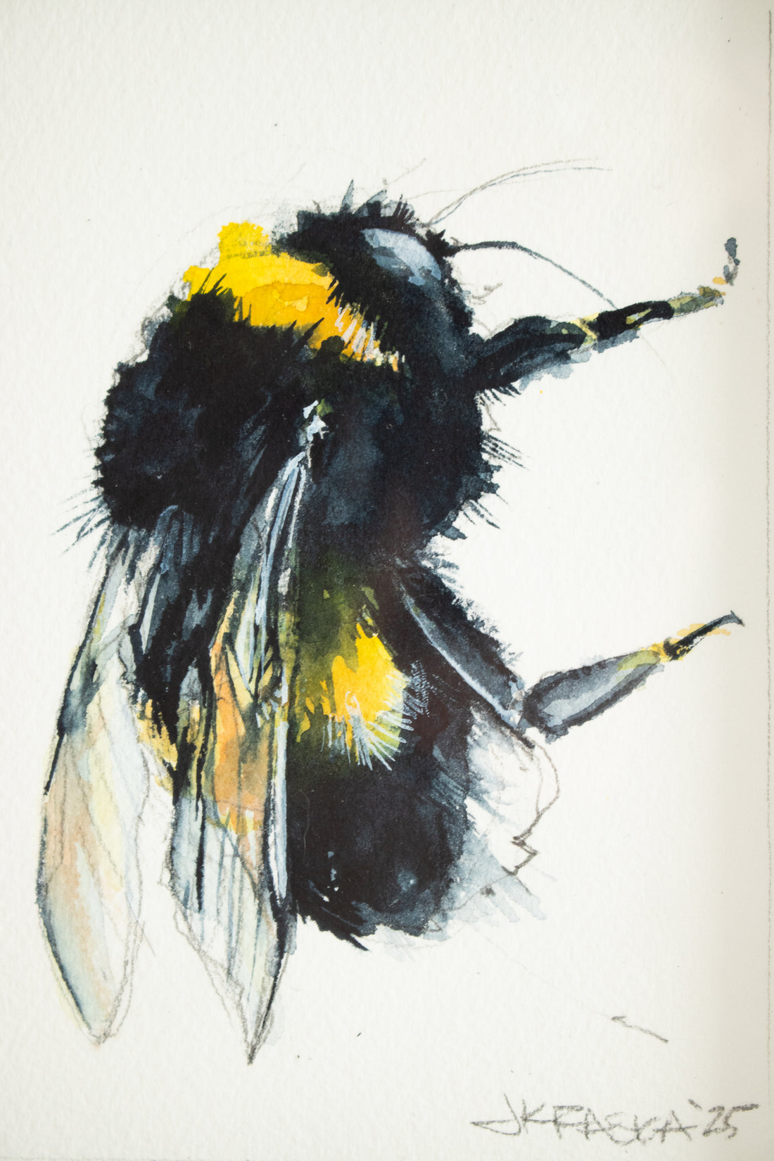 Bee #2 | 7x9