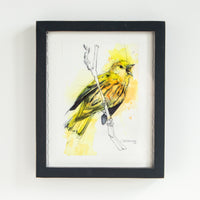 Yellow Bird Singing | 9x11