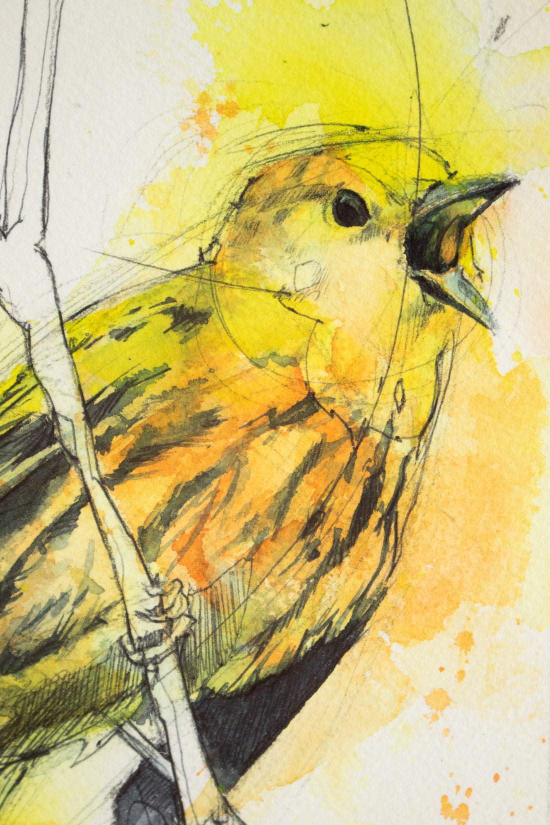 Yellow Bird Singing | 9x11