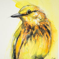 Yellow Bird Perched | 9x11