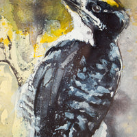 Black/Yellow Woodpecker | 9x11