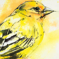 Yellow Warbler | 10x12
